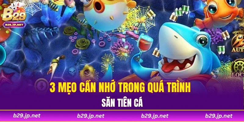 3 mẹo cần nhớ trong quá trình săn tiên cá