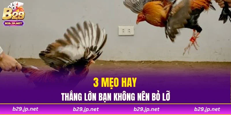 3 mẹo hay thắng lớn bạn không nên bỏ lỡ