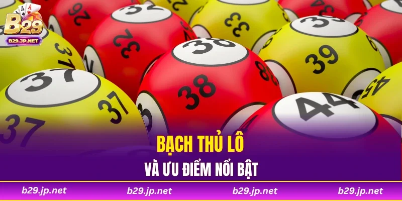 Bạch thủ lô và ưu điểm nổi bật