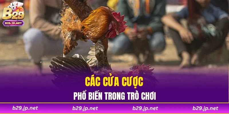 Các cửa cược phổ biến trong trò chơi