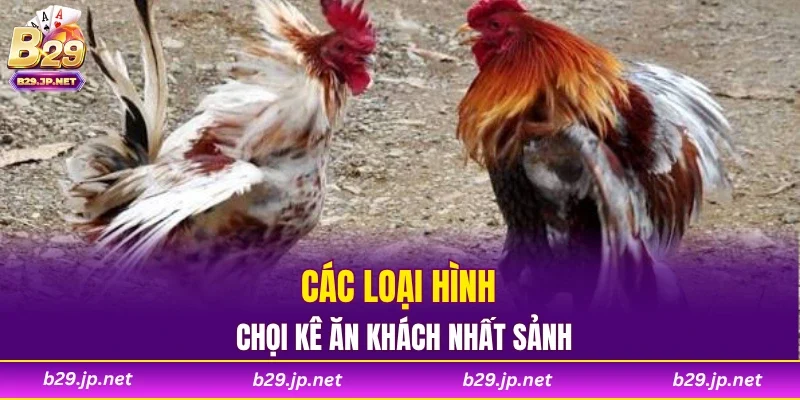 Các loại hình chọi kê ăn khách nhất sảnh
