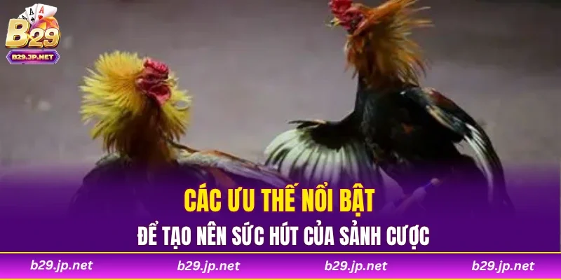 Các ưu thế nổi bật để tạo nên sức hút của sảnh cược