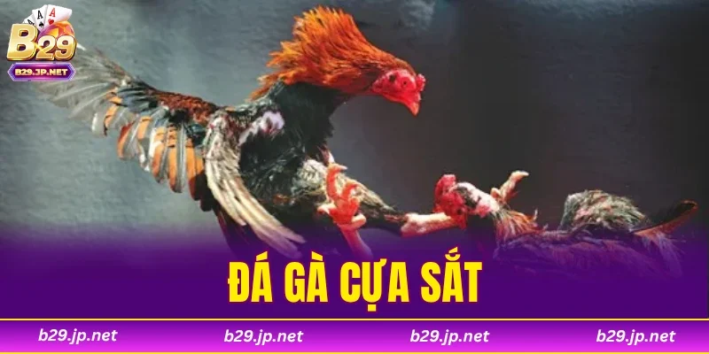 Đá Gà Cựa Sắt
