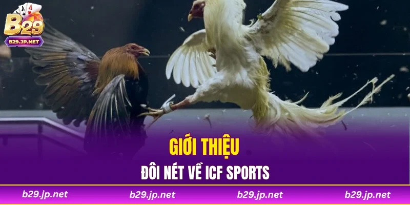 Giới thiệu đôi nét về ICF Sports