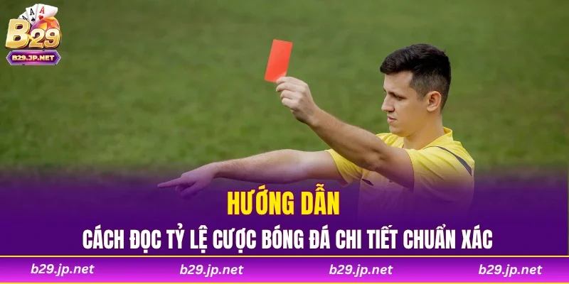 Hướng dẫn cách đọc tỷ lệ cược bóng đá chi tiết chuẩn xác