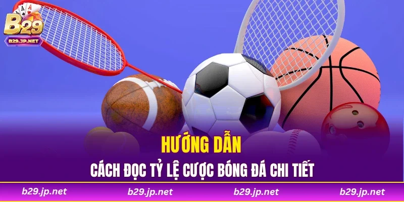 Hướng dẫn cách đọc tỷ lệ cược bóng đá chi tiết