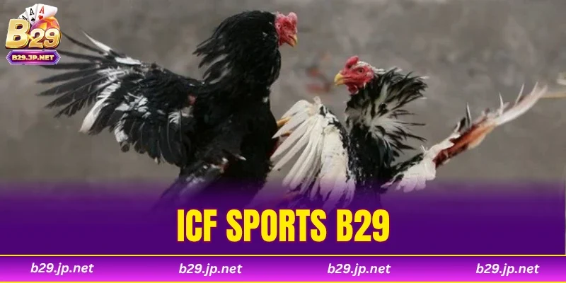 ICF Sports B29