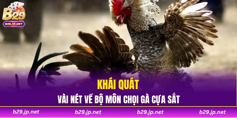 Khái quát vài nét về bộ môn chọi gà cựa sắt