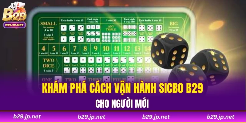 Khám phá cách vận hành Sicbo B29 cho người mới