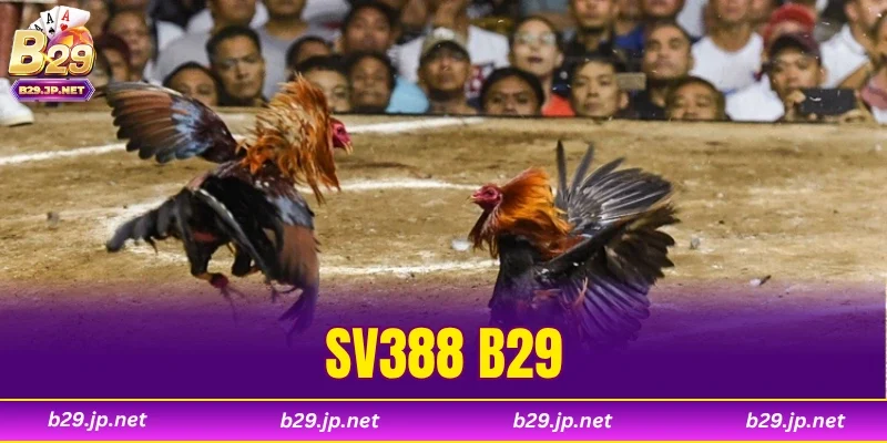 SV388 B29