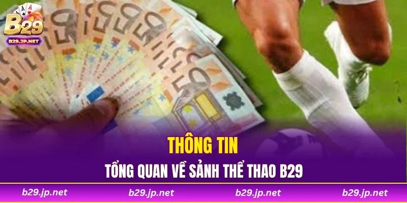 Thông tin tổng quan về sảnh thể thao B29